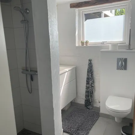 Villa Cozy Town House Nyborg